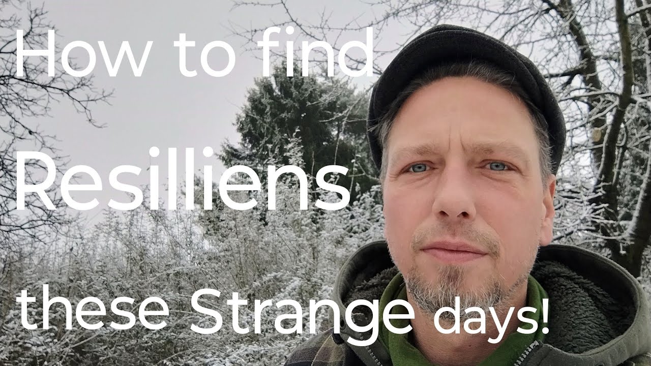 8. Februar 2026