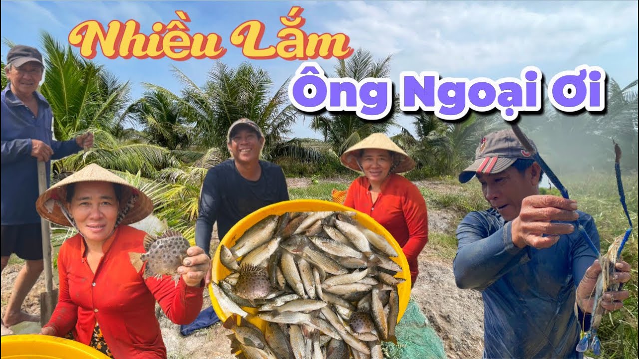 Tưởng Không Có Nào Ngờ Cá Dính Gở Mỏi Tay Luôn, ông Ngoại Rất Vui Mừng / Tập 499