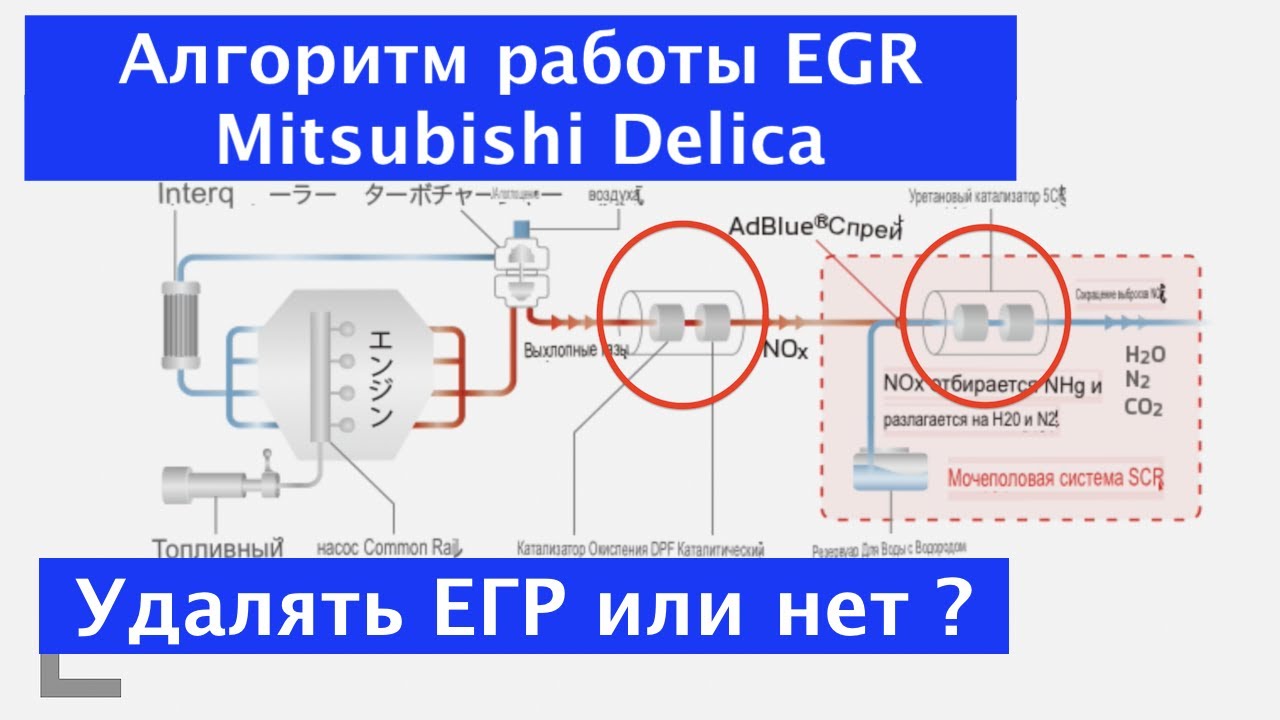 Mitsubishi Delica УДАЛЯТЬ ЕГР ИЛИ НЕТ