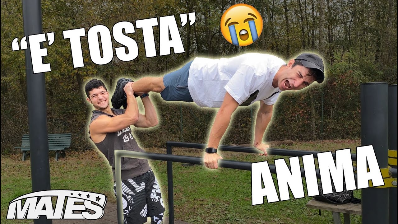 TESTO ANIMA dei MATES SUL CALISTENICS, CON QUALCHE PLANCHE EXTRA.