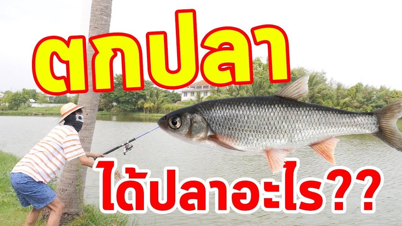 พาไปตกปลา กับวันว่างๆของผม