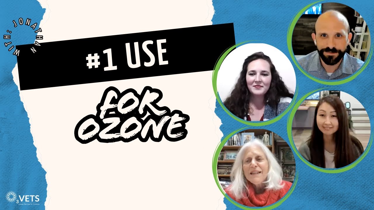 Veterinarians Identify the #1 Use for Ozone Therapy