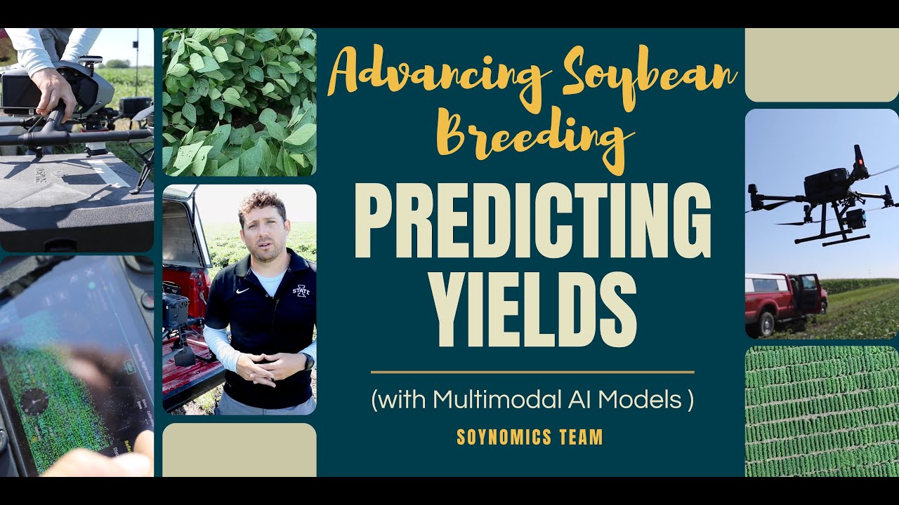 Advancing Soybean Breeding: Predicting Yields with Multimodal AI Models | Soynomics Team