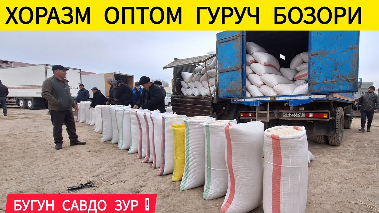 БУГУН САВДО АВЖИДА ХОРАЗМ ОПТОМ ГУРУЧ БОЗОРИ ЯНГИ НАРХЛАРИ 17-МАРТ 2026-ЙИЛ !!! ХОРАЗМ ОБЗОР 