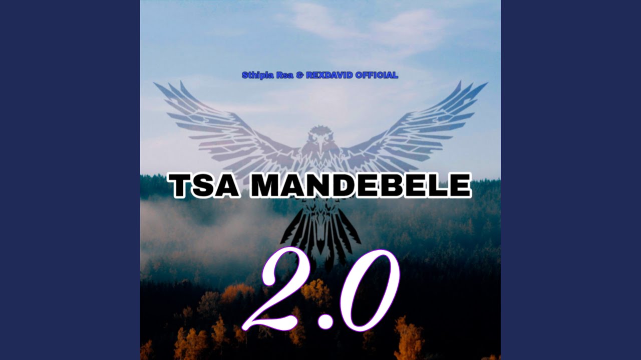 Tsa Mandebele 2.0