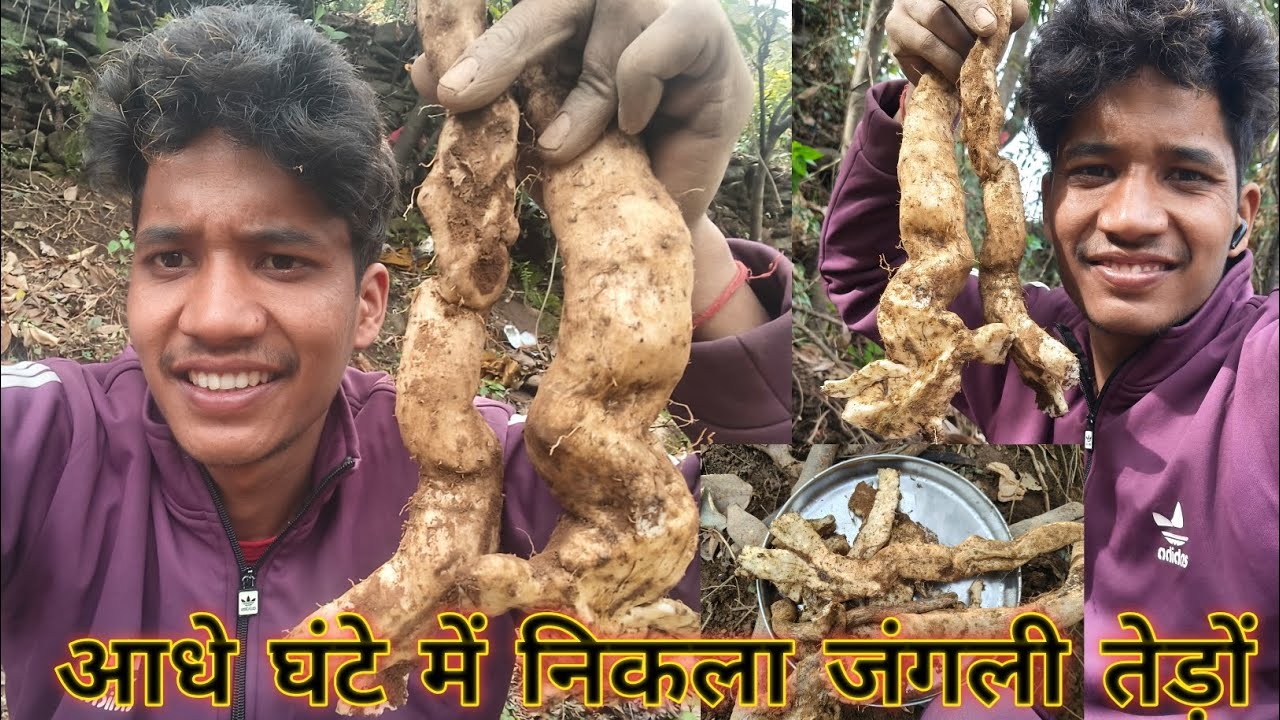 आधे घंटे में निकाल दिए 2 किलो