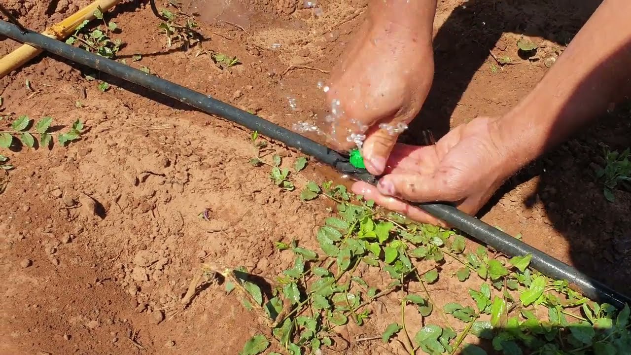 أنواع الرشاشات لسقي الأرض الفلاحية