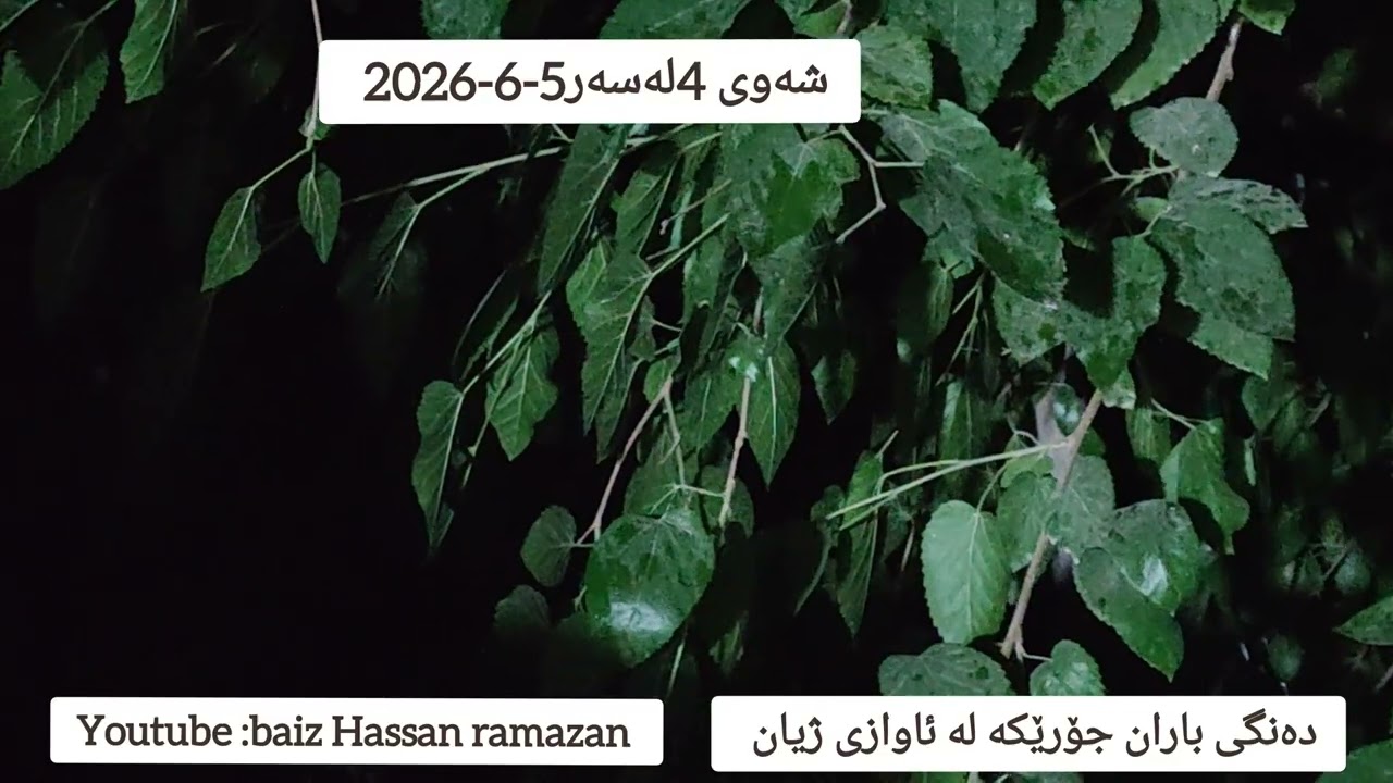 دەنگی باران جۆرێکە لە ئاوازی ژیان...