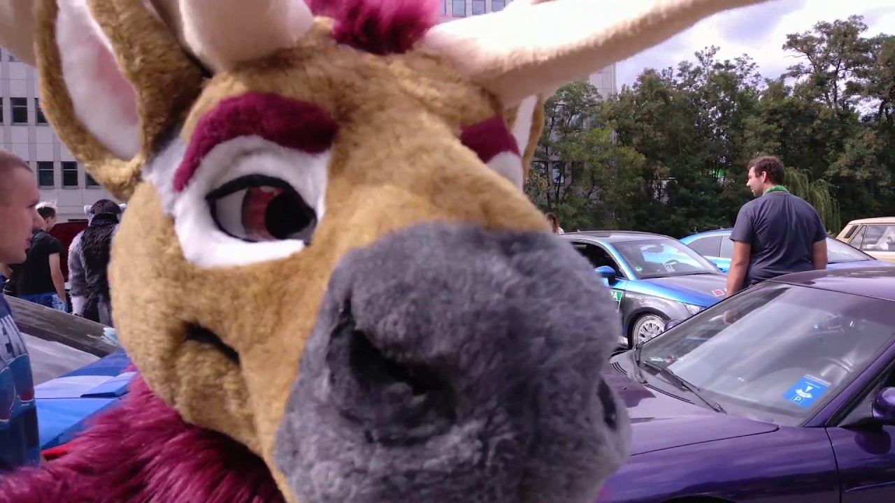 EF24 Motorfurs