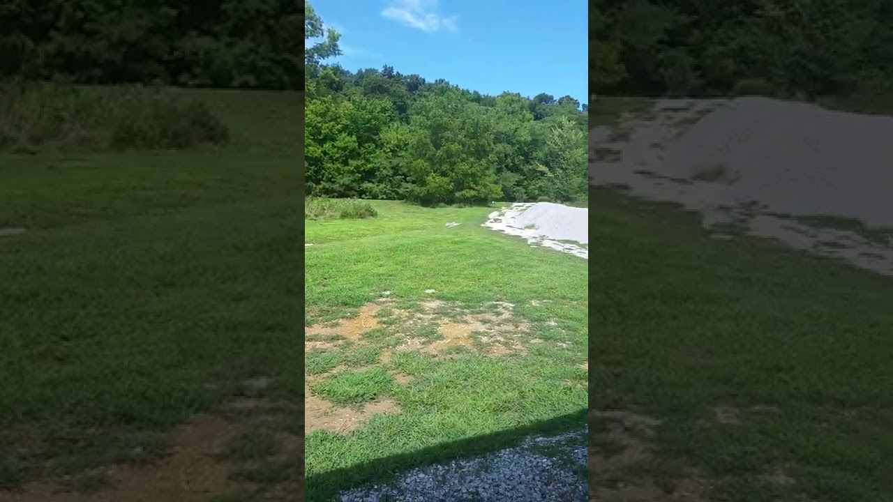 will make rose garden in weed area
