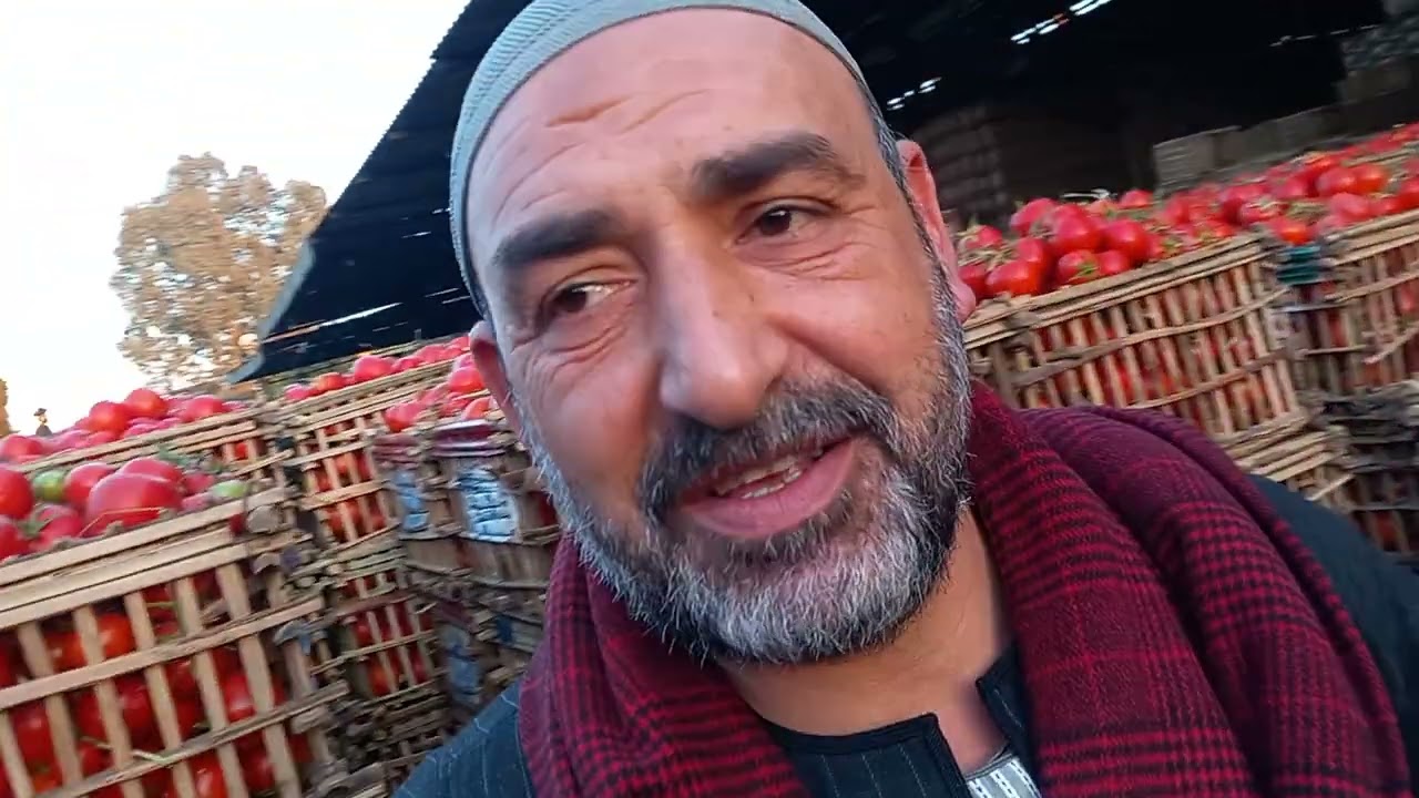 اسعار البصل الفتيل والمقور والقديم اسعار البطاطس والثوم   والطماطم #لايك