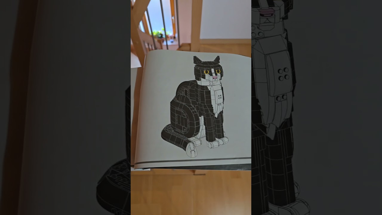 #viral #lego #lordoftheringsmemes #cat #catmemes #catvideos #catmemes #lordoftherings #ballance