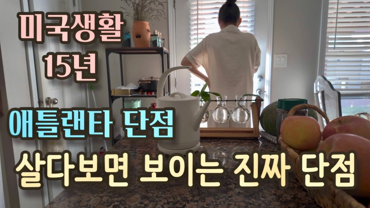 살다보면 보이는 애틀랜타의 진짜 단점! 불편한 진실 미국생활 15년차