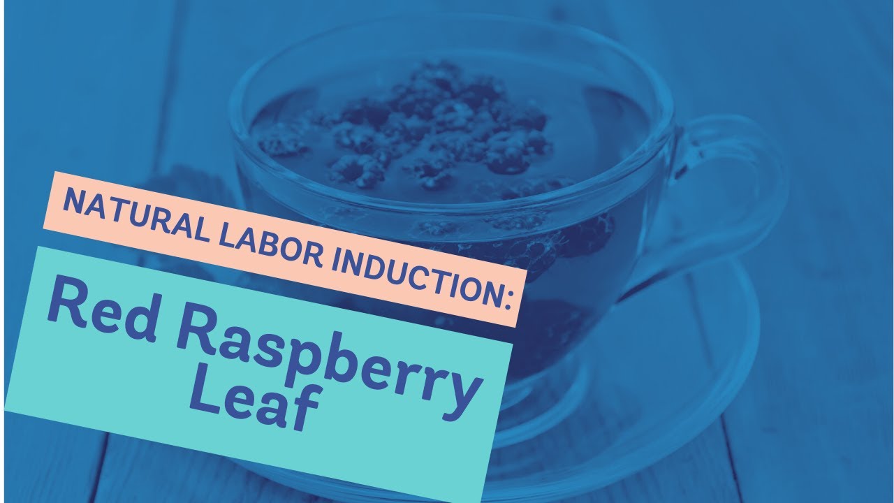 Natural Labor Induction Series: Red Raspberry Leaf