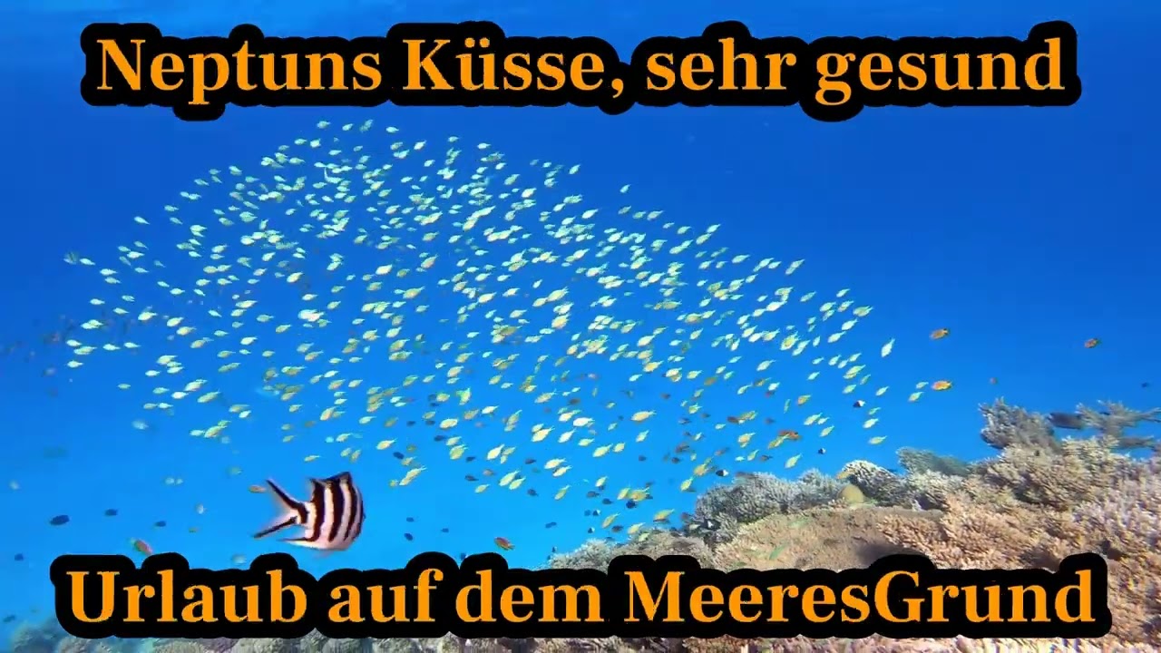 Tina - Urlaub auf dem Meeresgrund TEXT