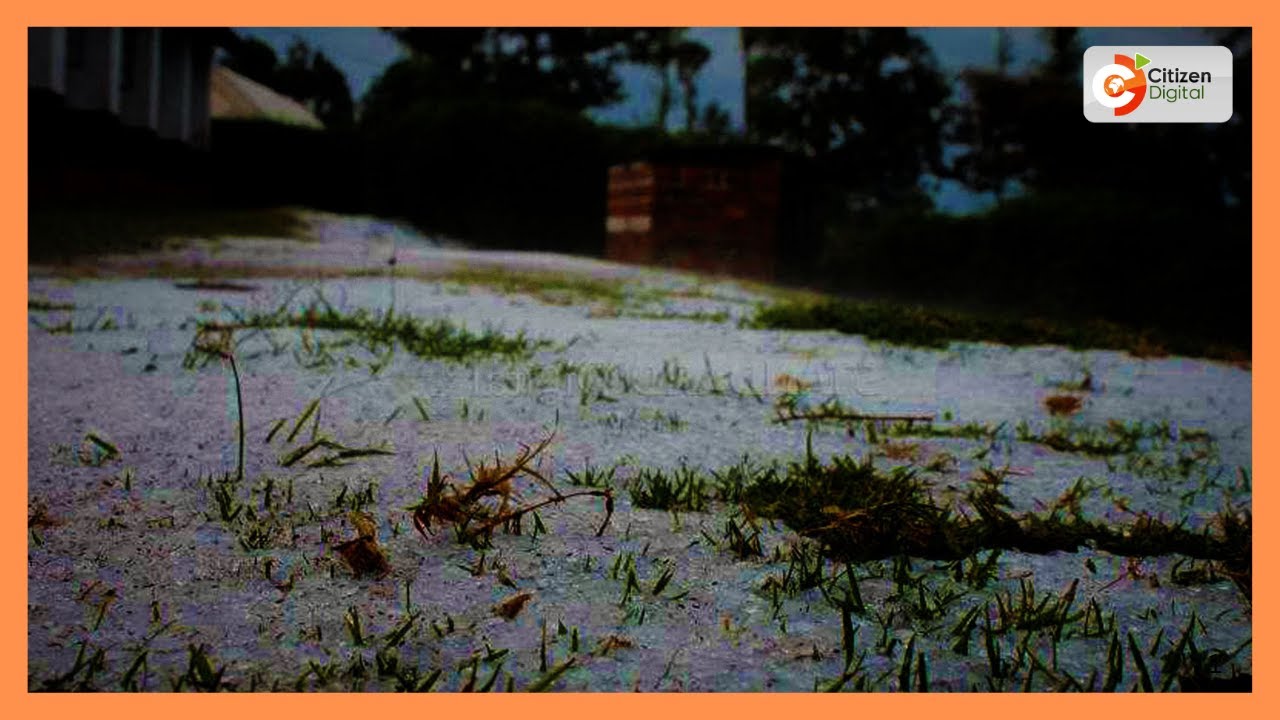 Hailstorms destroys tea plantations in Kericho County
