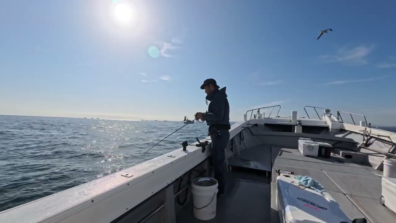 20251223 豊後水道　太刀魚釣り　大進丸　テンヤタチウオ
