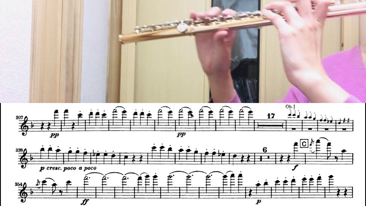 Beethoven Symphony No.7 Flute 1st(3 mvt)