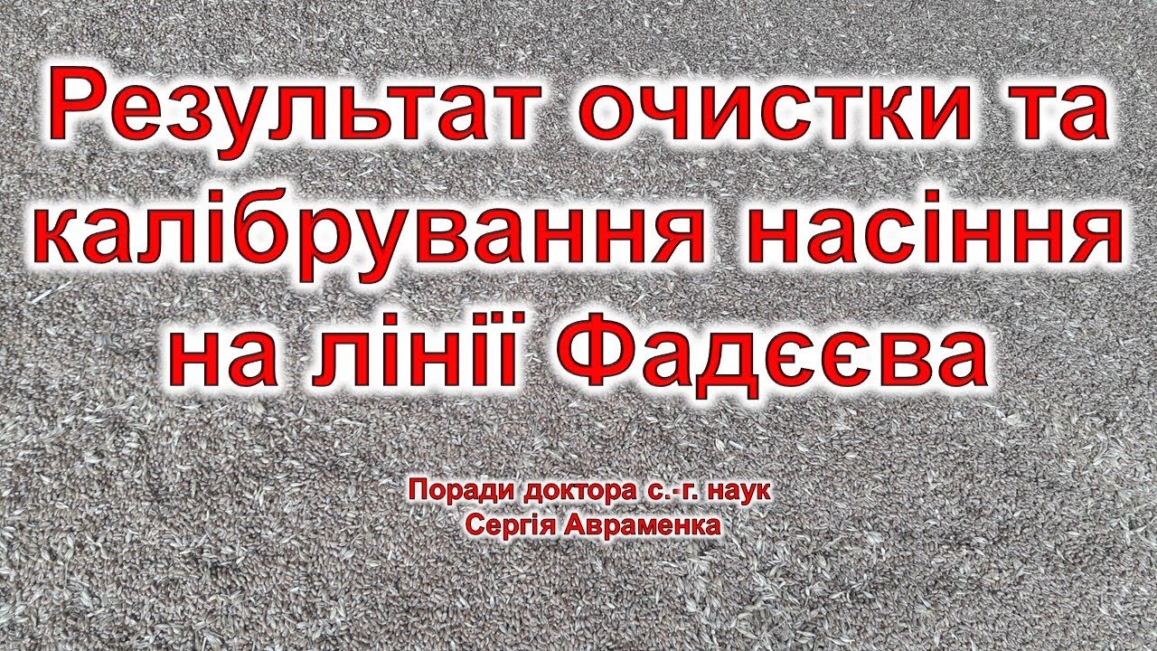 Результат очистки та калібрування насіння на лінії Фадєєва