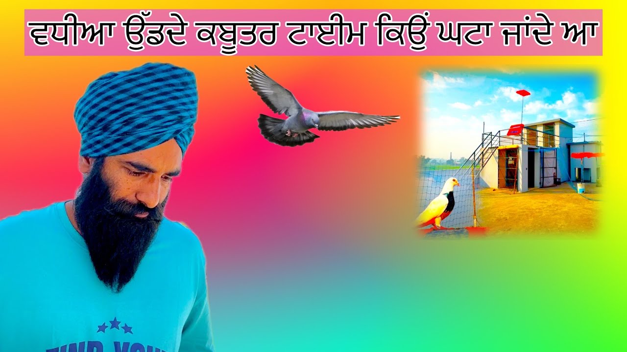ਵਧੀਆ ਉੱਡਦੇ ਕਬੂਤਰ ਟਾਈਮ ਕਿਉਂ ਘਟਾ ਜਾਂਦੇ ਆ