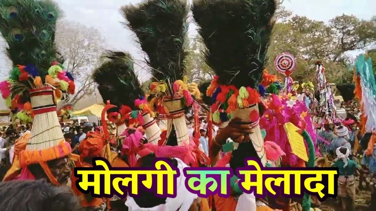 Molgi melada Holi 2022