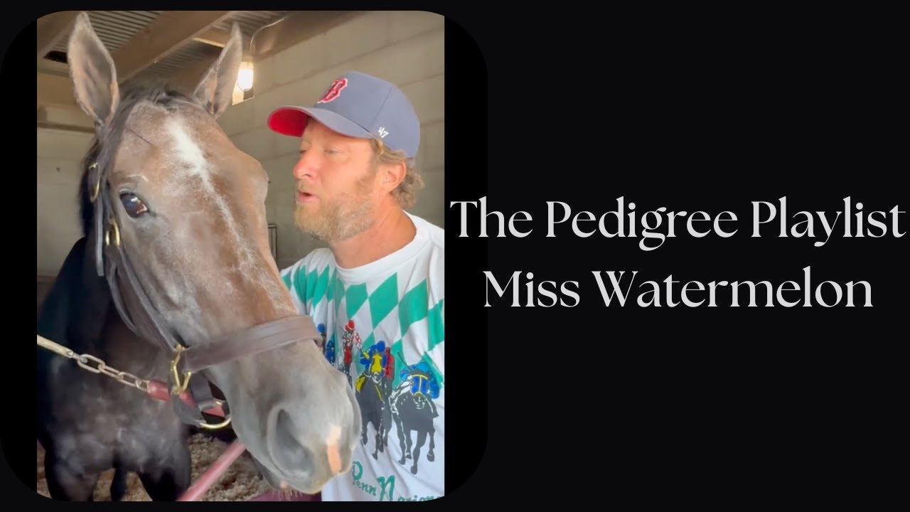 008 - Dave Portnoy of Barstool Sports's Miss Watermelon - The Pedigree Playlist