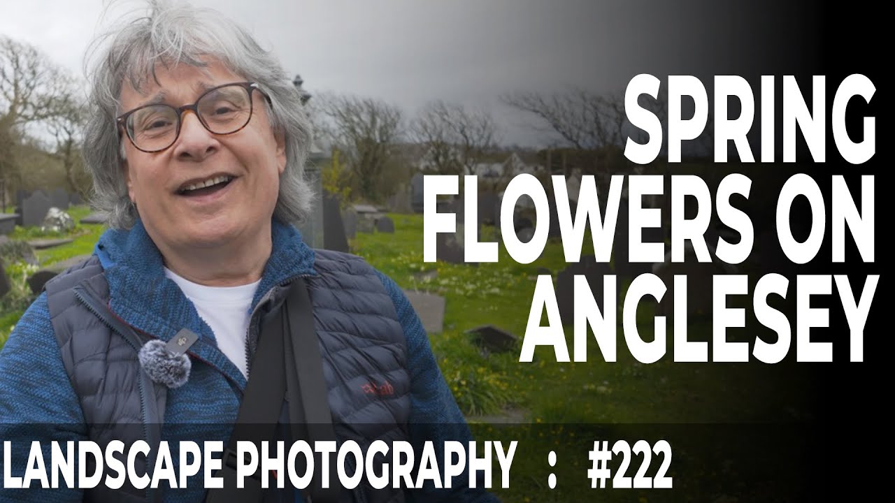 222: Landscape Photography: Spring Flowers at Rhosneigr, Anglesey