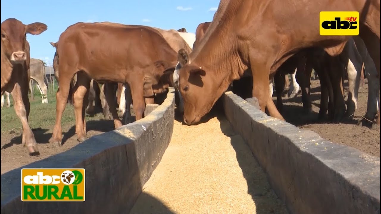 ABC Rural Programa 13: Estancia Mbutuy