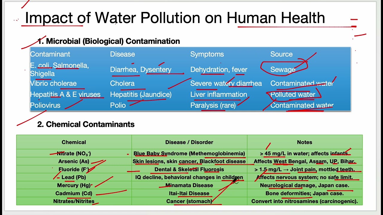 💧 Water Pollution: Types, Sources, Effects, Treatment | One Shot Revision Class