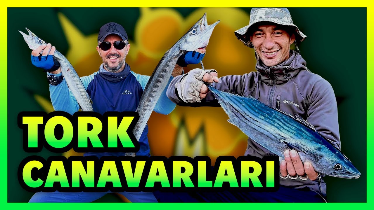 SAROS'DA TORİK ,BARAKUDA AVI.SPİN TAKIMLA TORİK AVI HARIKA AKSİYON #barakuda #bonito #torik #palamut