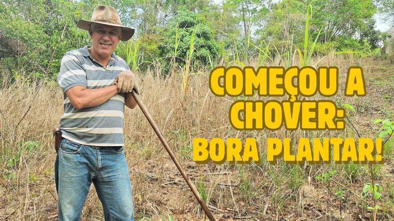 Começo das chuvas: A melhor época pra plantar na roça!