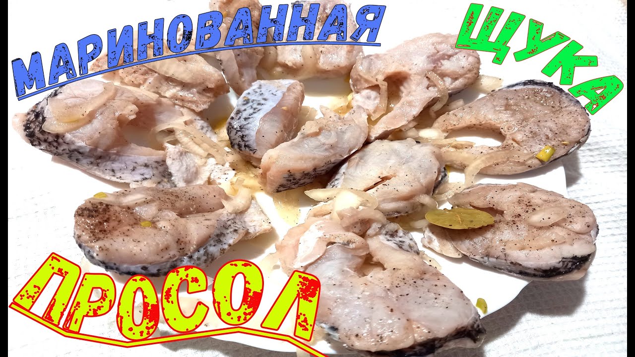 SZCZUPAK KISZONY 