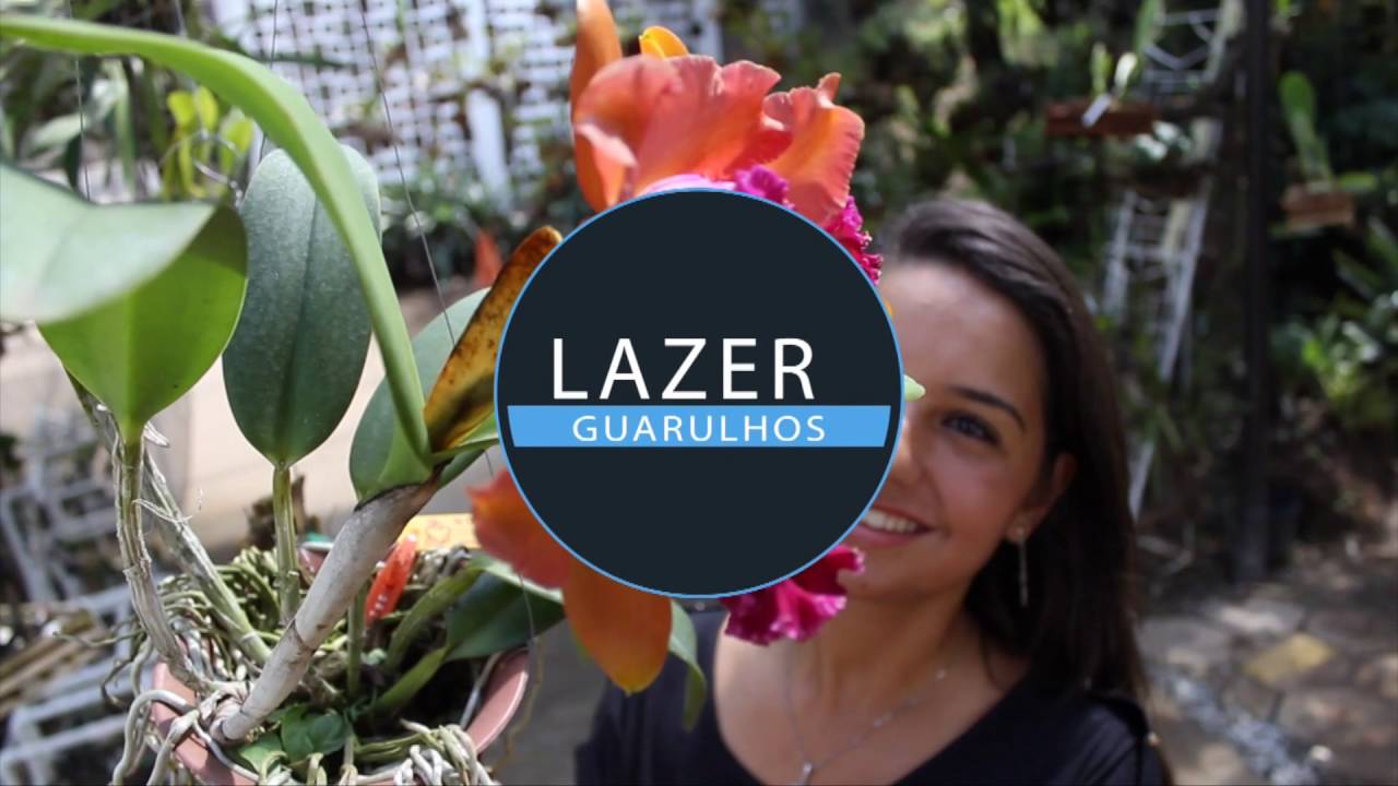 8 lugares incríveis que você precisa conhecer em Guarulhos!