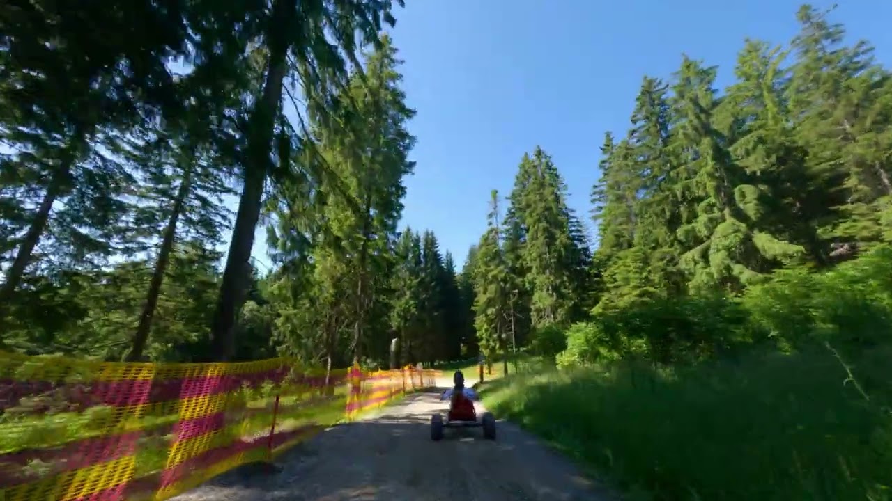 Mountainkart - Erlebnisalm Mönichkirchen