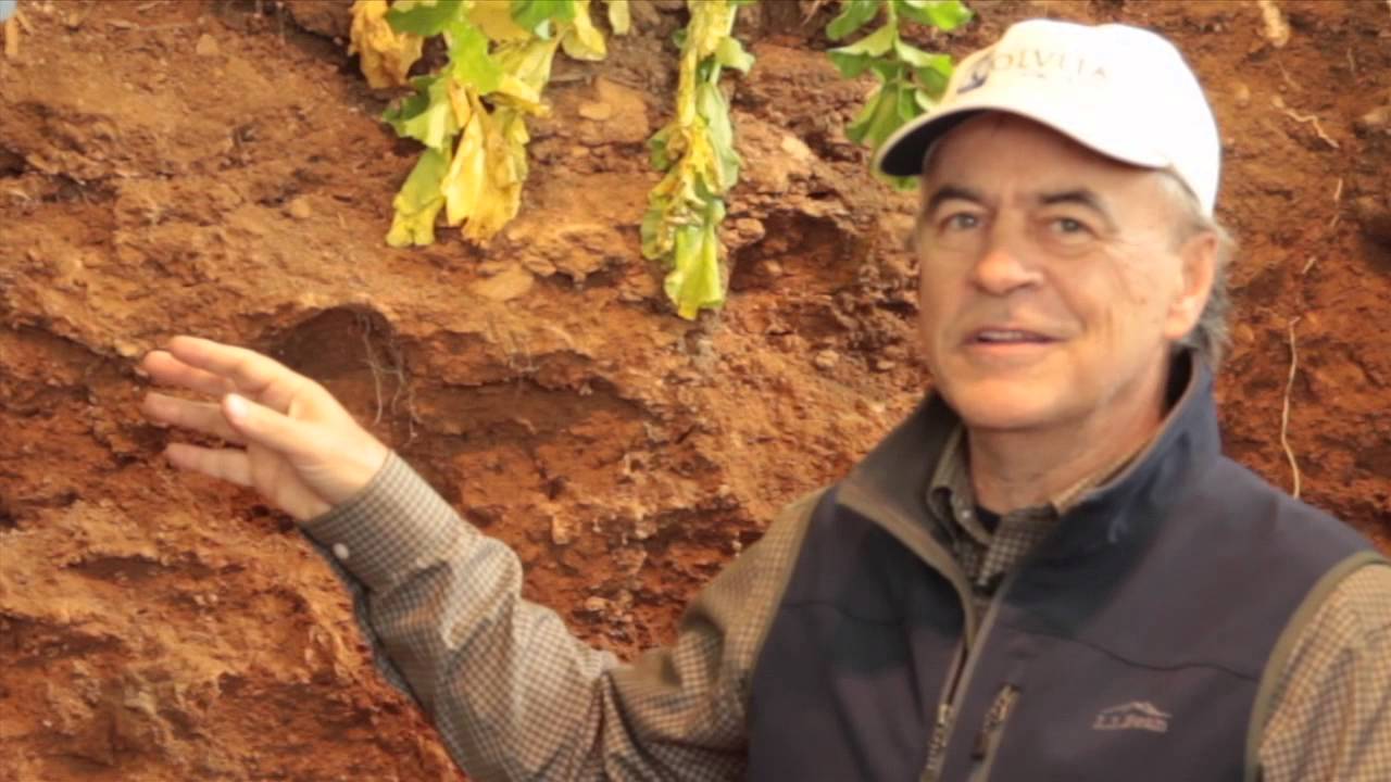 Will Brinton on soils, CO2 and plants - raw interview footage