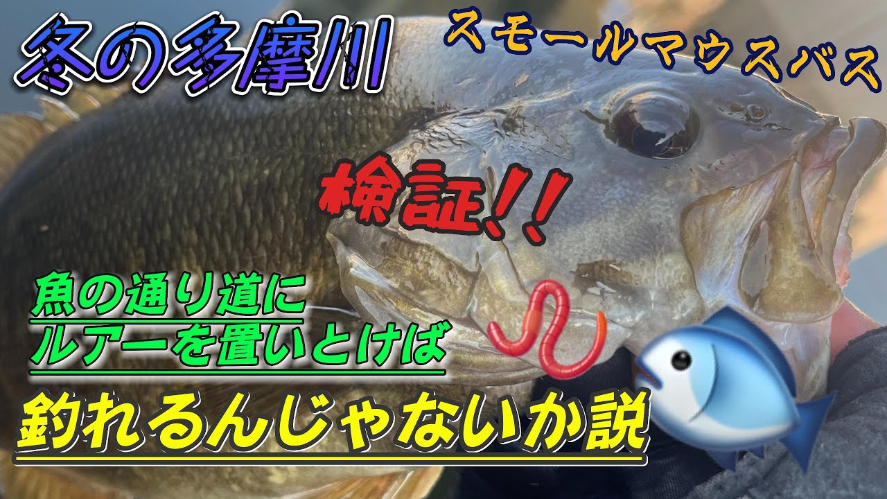 冬の多摩川で同じポイント１日粘ってみた🐟スモールマウスバス