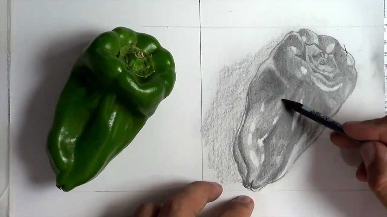 Desenho de Observação / 2 ( Passo a Passo )