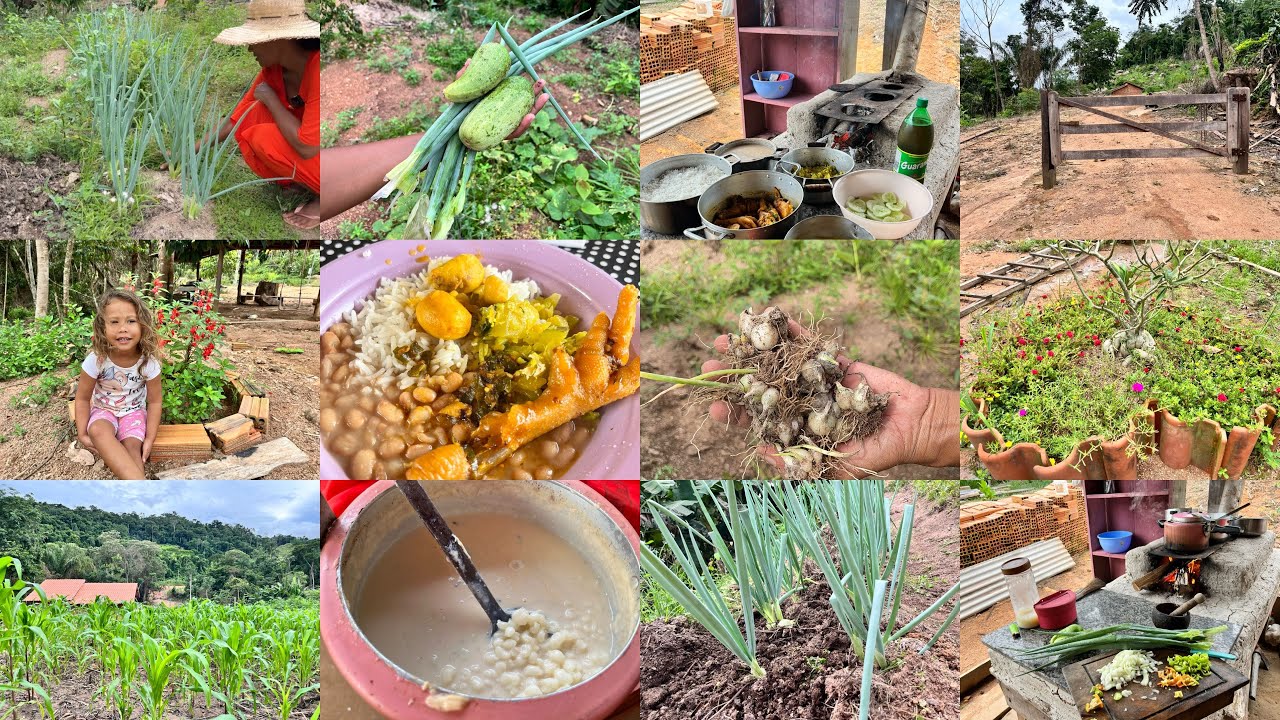 SIMPLICIDADE que ALIMENTA a ALMA: FRANGO CAIPIRA no CAPRICHO e PEQUI no FOGÃO A LENHA/ VIDA NA ROÇA 