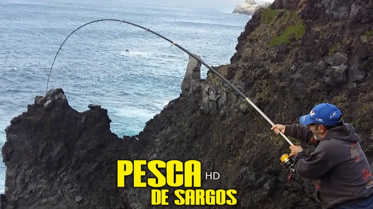 Pesca de Sargos José Silva Sargo 1.9KG com a Rabeca em São Miguel Açores