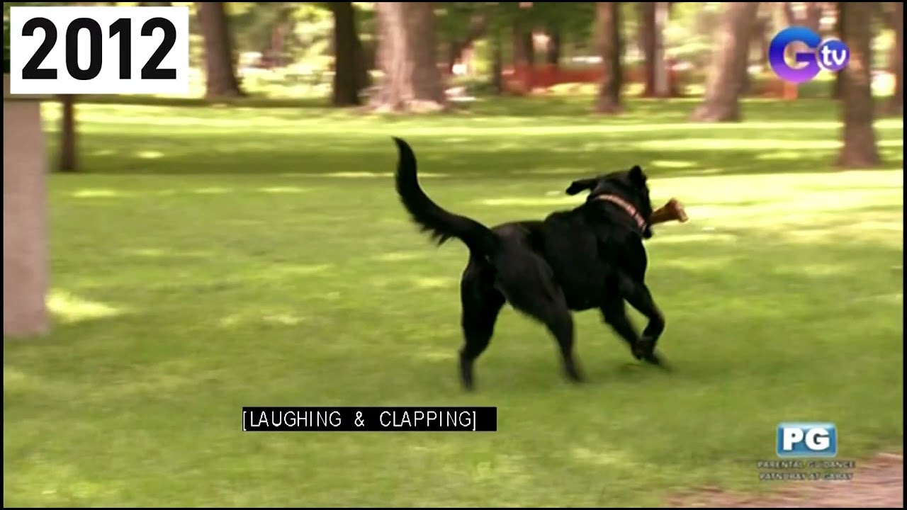 Just For Laughs Gags 2010 2011 and 2012 Opening + 2012 End Credits GTV (60FPS)