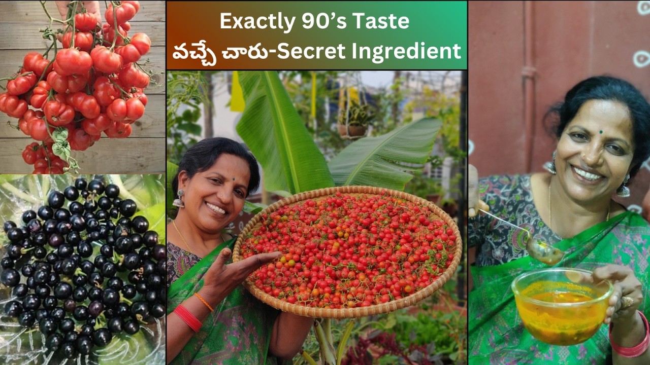 ఇంత టేస్ట్ ఎలా వచ్చింది?  90’s స్టైల్ చారు Cherry Tomatoes తో!  గుర్తుకొస్తున్నాయి....#garden