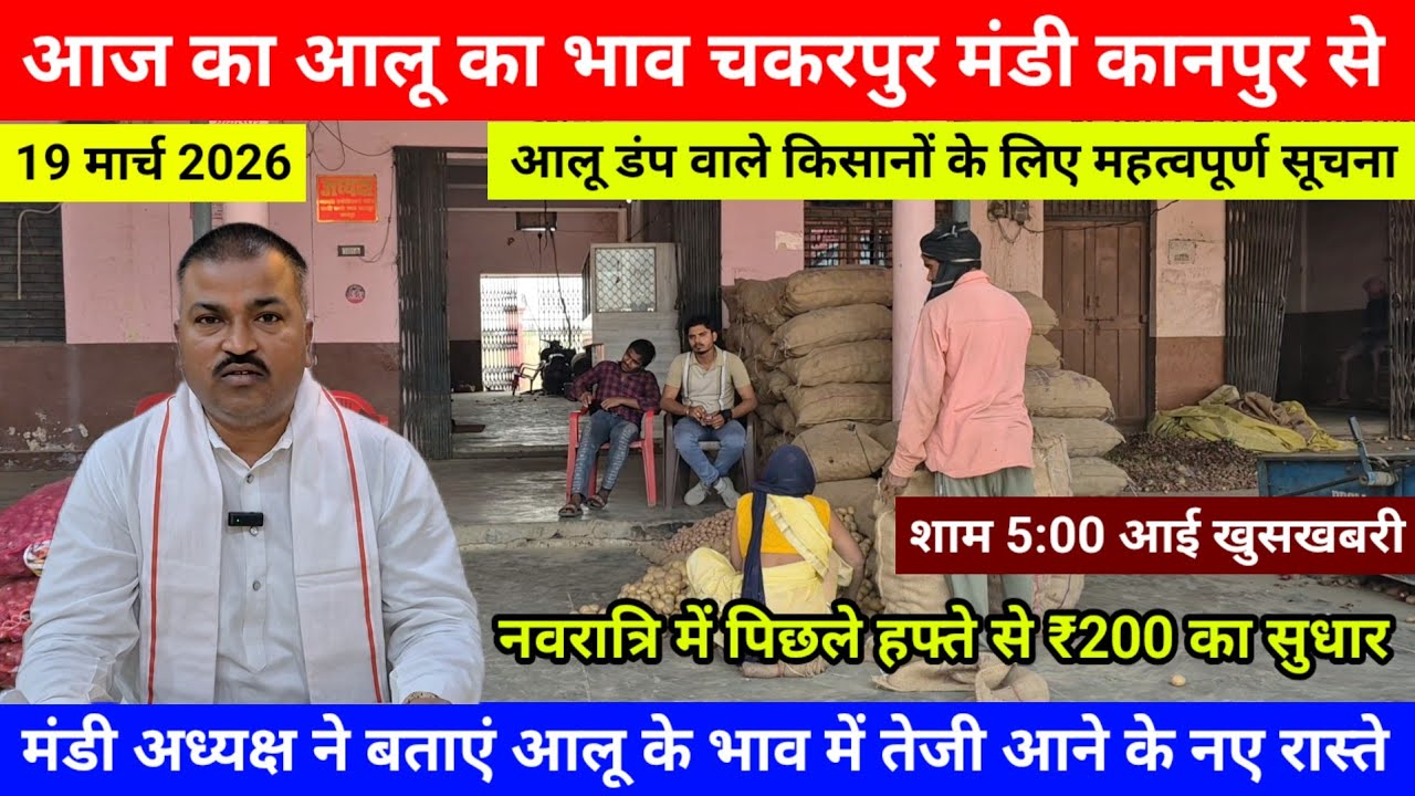 आज का आलू का भाव चकरपुर मंडी कानपुर से आलू के भाव में तेजी आने के नए रास्ते बनेंगे Aalu Ka Bhav