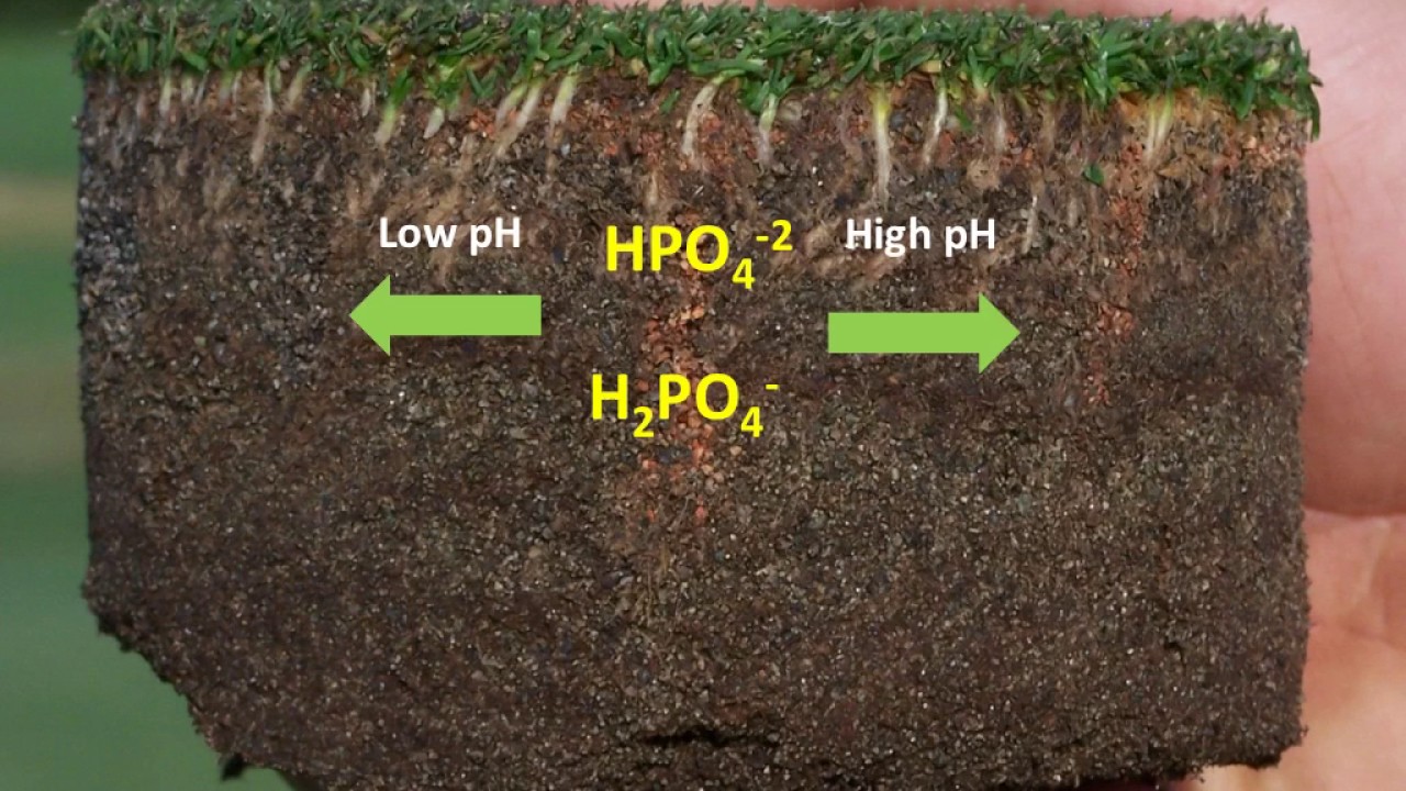 phosphorus