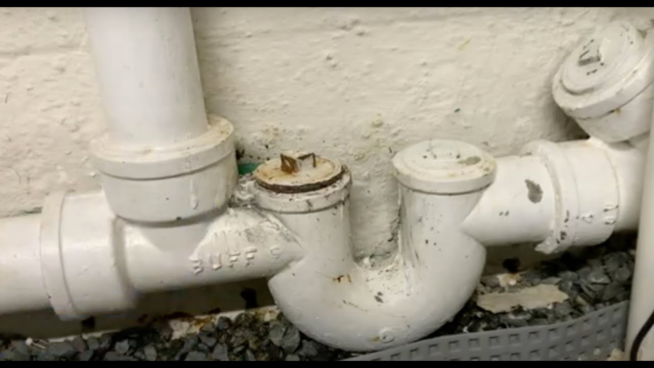 Removal of a whole house trap