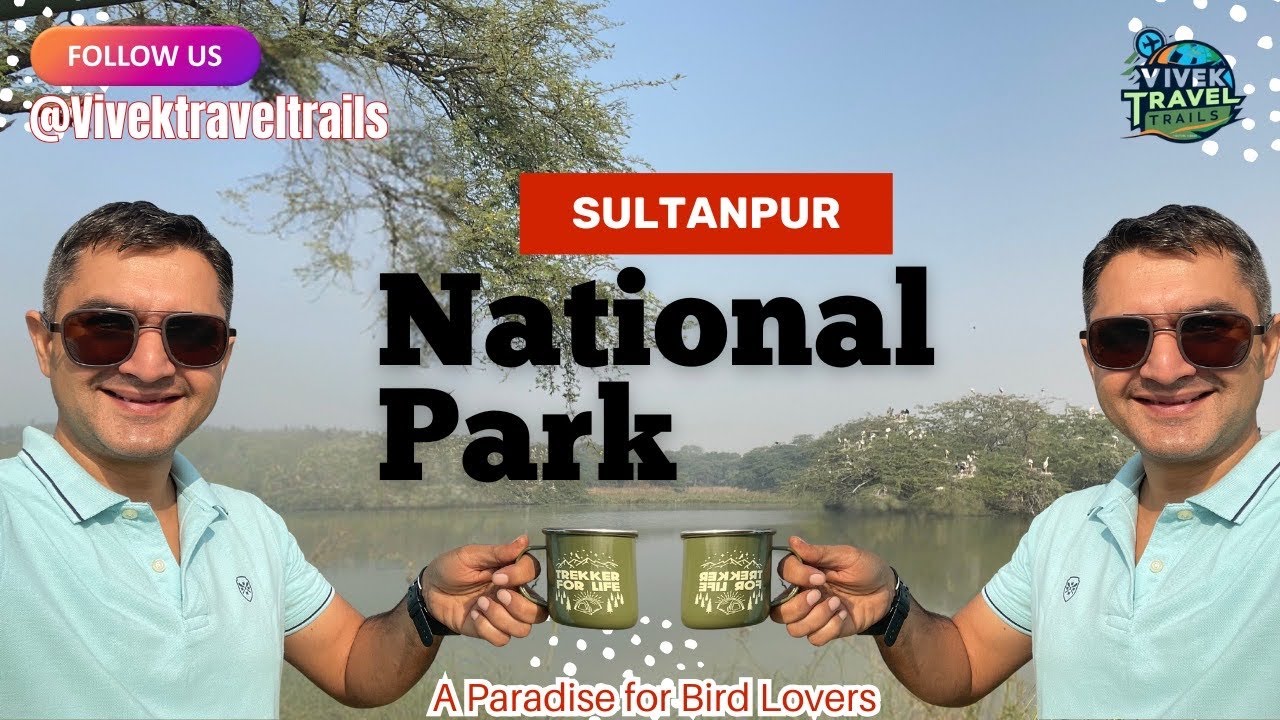 Sultanpur Bird Sanctuary Near Delhi | Best Birdwatching Spot | Bird Lovers Paradise