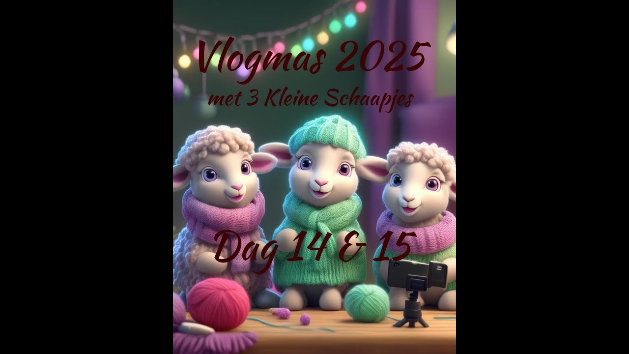 Vlogmas dag 14 en 15 Groningen en Stash