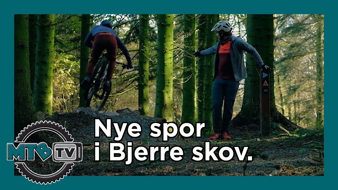 Nye spor i Bjerre skov
