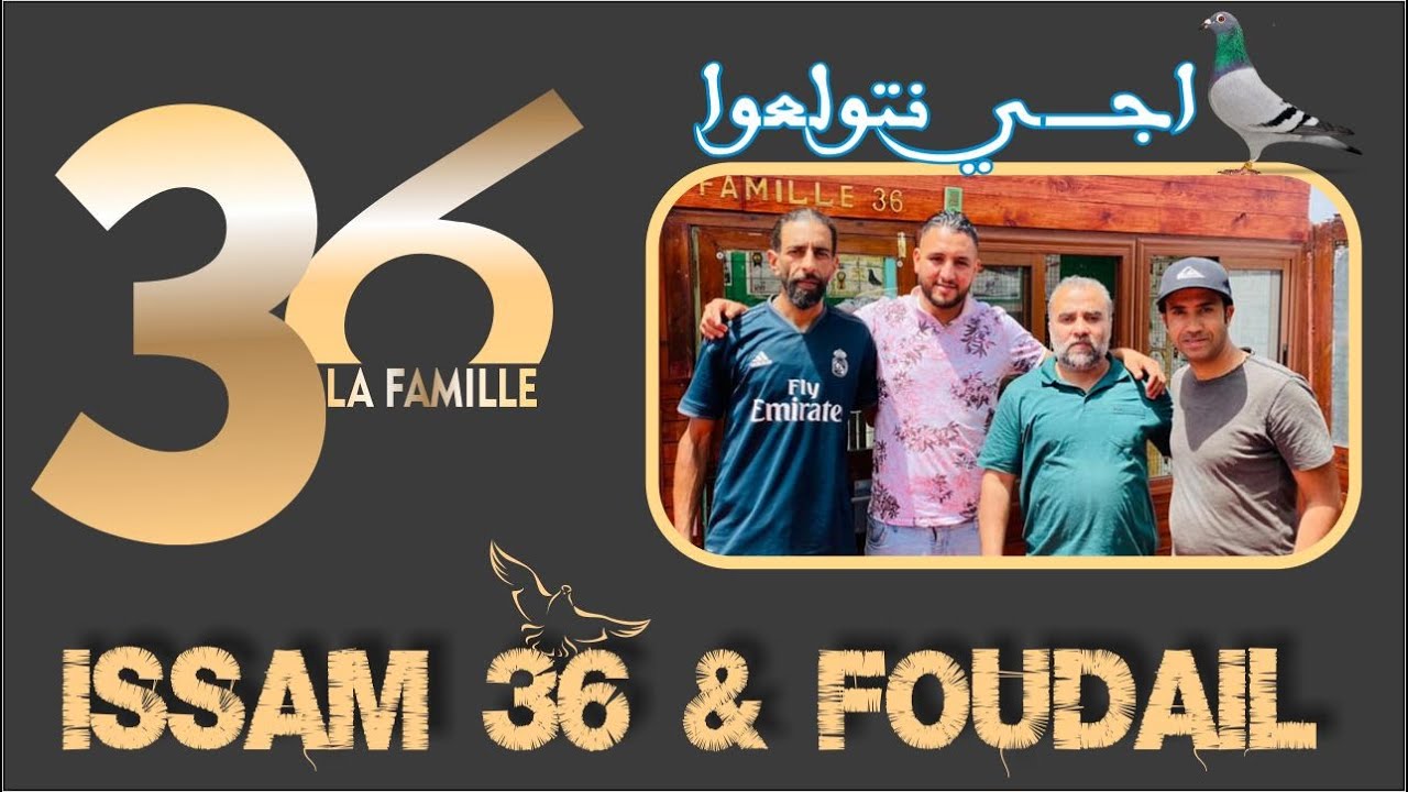 اجي نتولعوا| مالا تعرفه عن التنظيم عصام 36/ فضيل الولعة حتى النخاع+ نبدة عن مسيرتهم في تربية الحمام