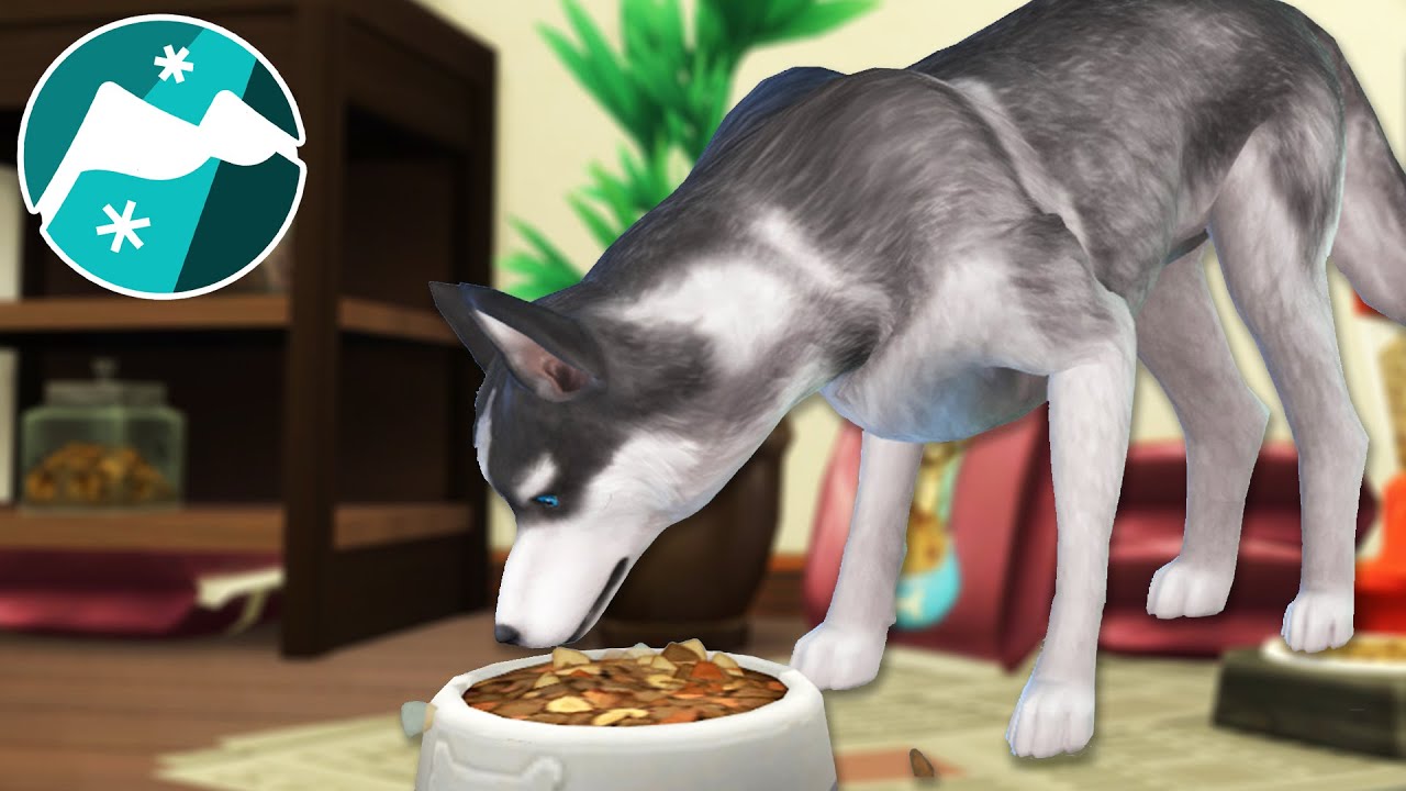 Moving In ALL the DOG TREATS!! 🐕🗻 Sims 4: Snowy Sled Dogs &bull; #4