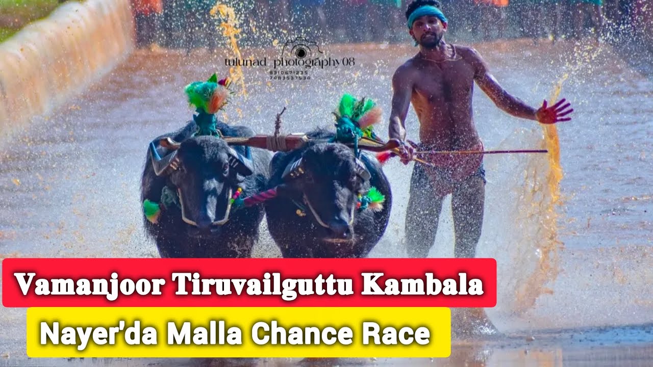𝐕𝐚𝐦𝐚𝐧𝐣𝐨𝐨𝐫 𝐓𝐢𝐫𝐮𝐯𝐚𝐢𝐥𝐠𝐮𝐭𝐭𝐮 𝐊𝐚𝐦𝐛𝐚𝐥𝐚 // Nayer'da Malla Chance Race // 𝐕𝐚𝐦𝐚𝐧𝐣𝐨𝐨𝐫 𝐊𝐚𝐦𝐛𝐚𝐥𝐚 Live 2026 ||